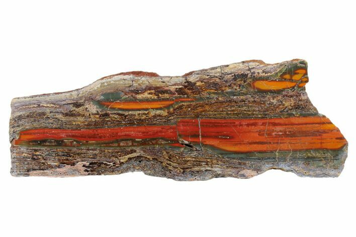 Stromatolite Slice - Pilbara, Australia ( Billion Years) #180185